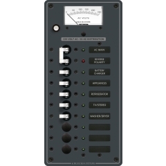 PANEL 230VAC 10 POS W/MAIN V.MTR