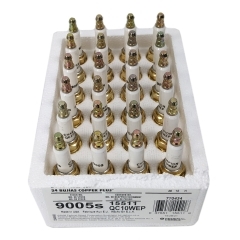 Bombardier Recreational Products 0770434 Spark Plug QC10WEP 24 Pack