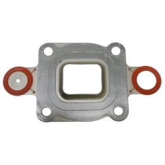 Large Image