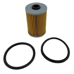 Recmar REC35-866171A01 Gasoline Filter